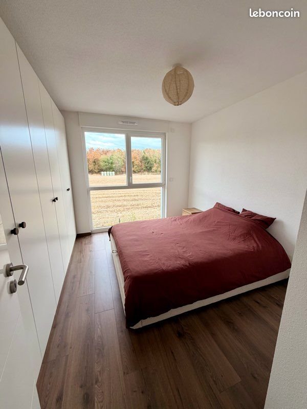 Appartement à louer, 60m², Bartenheim