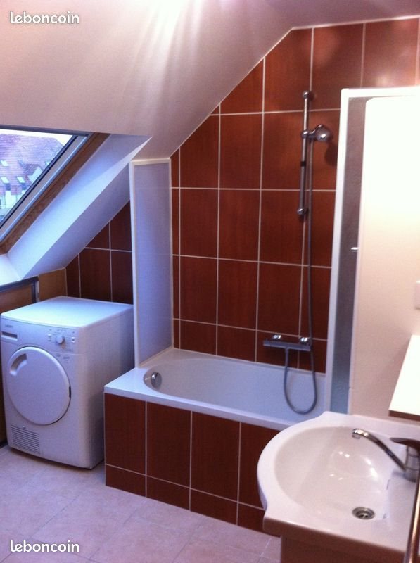 Appartement à louer, 55m², Haguenau