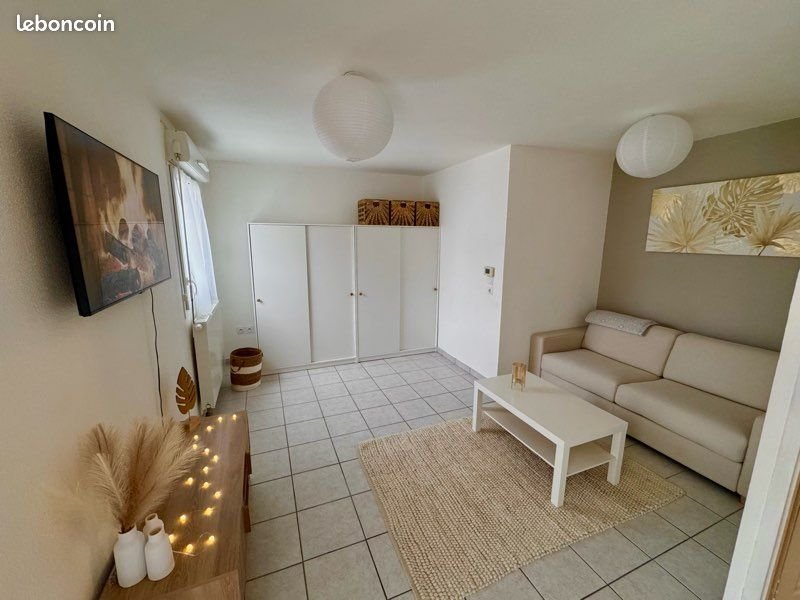 Appartement à louer, 34m², Gex