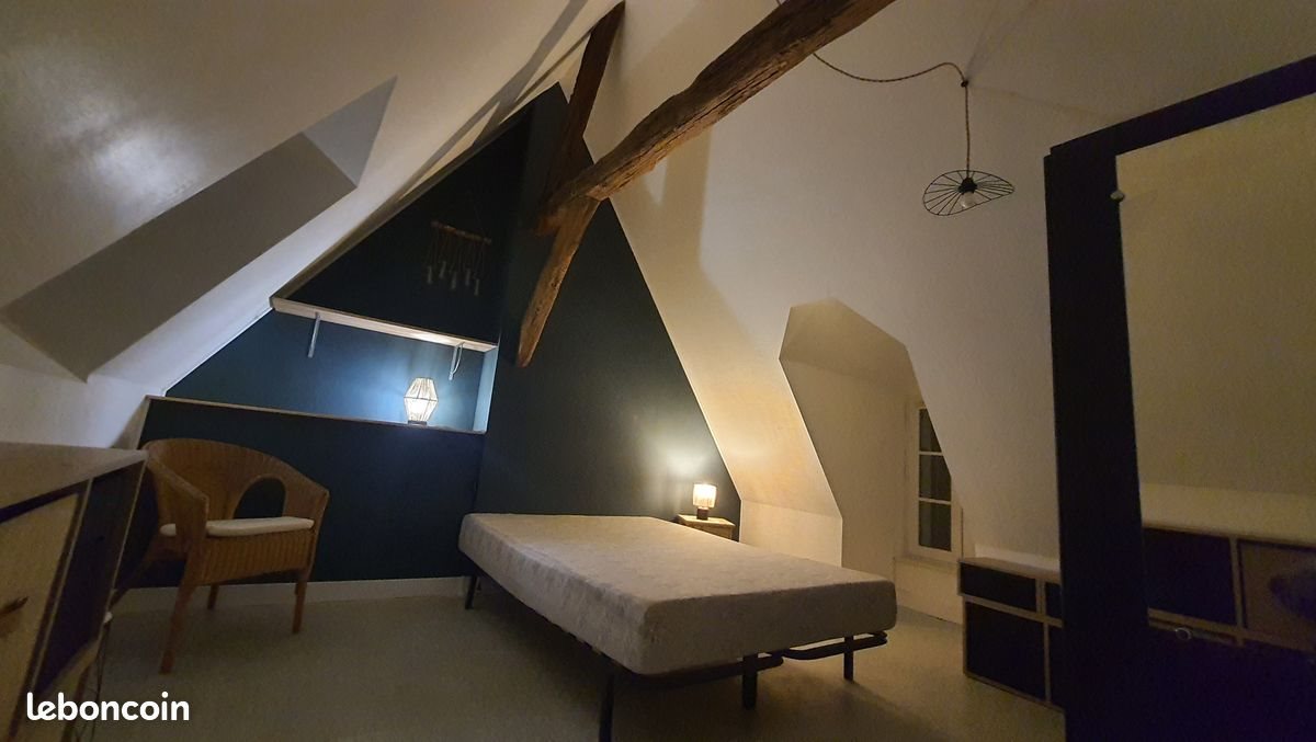 Appartement à louer, 48m², Reugny