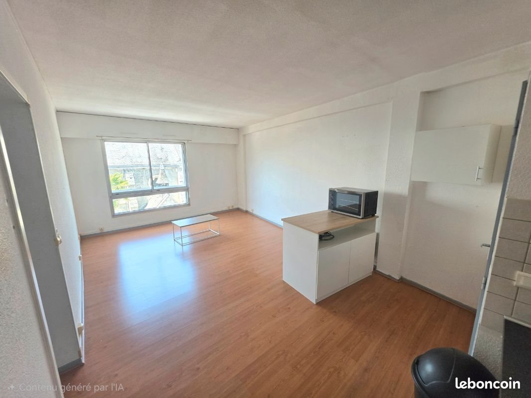 Appartement à louer, 47m², Pau