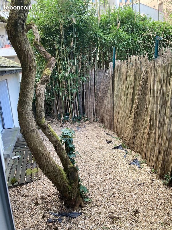 Maison à louer, 25m², Angers