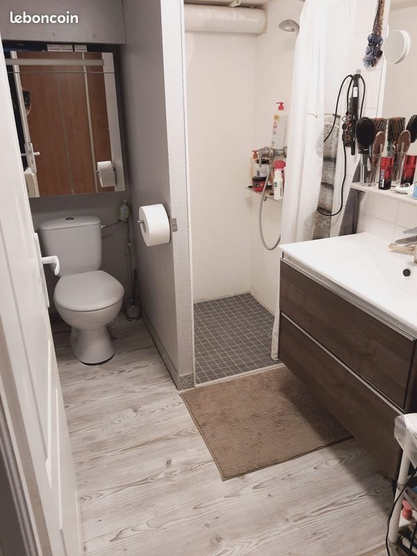 Appartement à vendre, 34m², Bischheim
