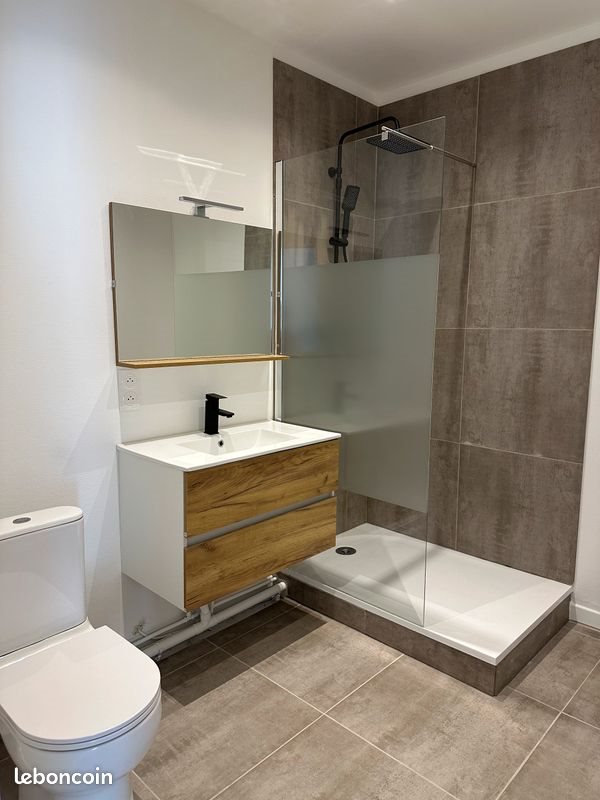 Appartement à louer, 32m², Saint-Étienne