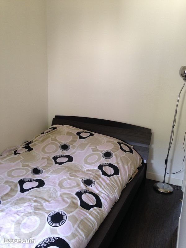Appartement à louer, 45m², Tours