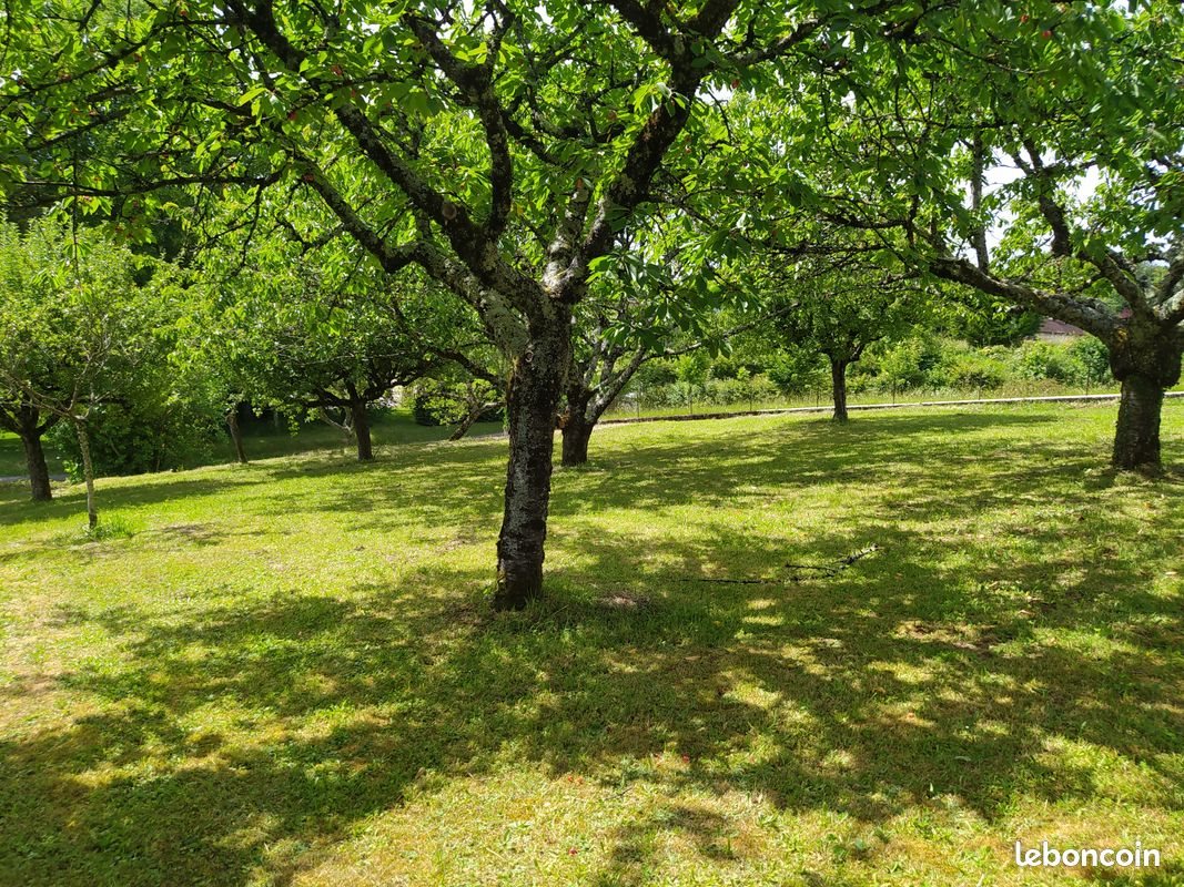 Maison à vendre, 150m², Arbois