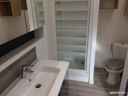 Appartement à louer, 48m², Lille