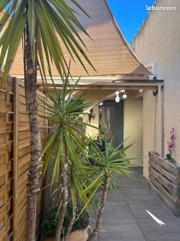 Appartement à louer, 29m², Saint-Jean-de-Védas