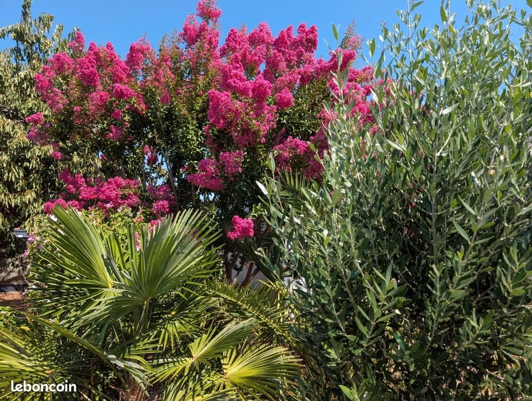Maison à vendre, 139m², Jard-sur-Mer