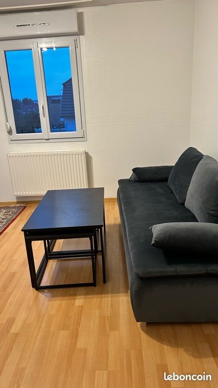 Appartement à louer, 45m², Colmar
