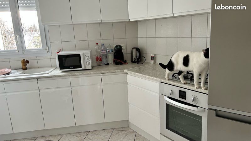 Appartement à louer, 45m², Colmar