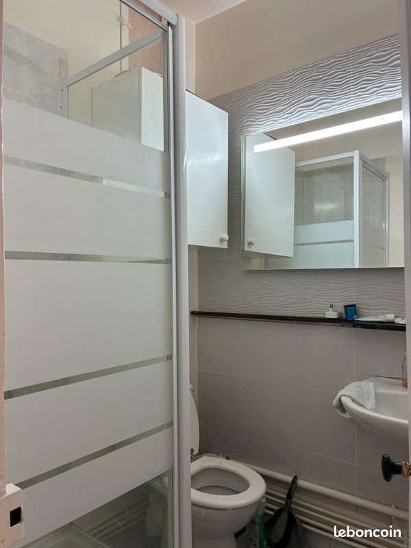 Appartement à louer, 47m², Saint-Etienne