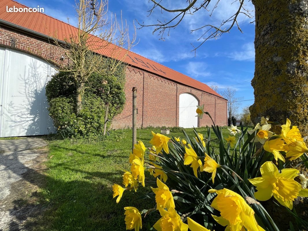 Maison à vendre, 347m², Templeuve-en-Pévèle