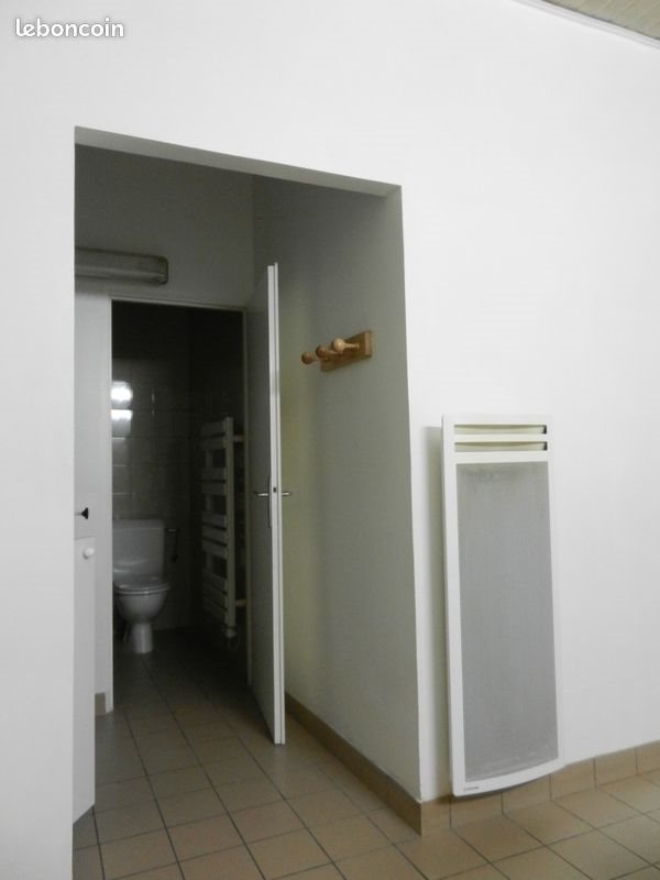Appartement à louer, 20m², Cluses