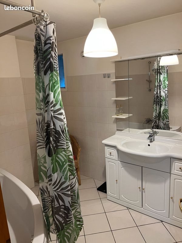 Appartement à louer, 47m², Goncelin