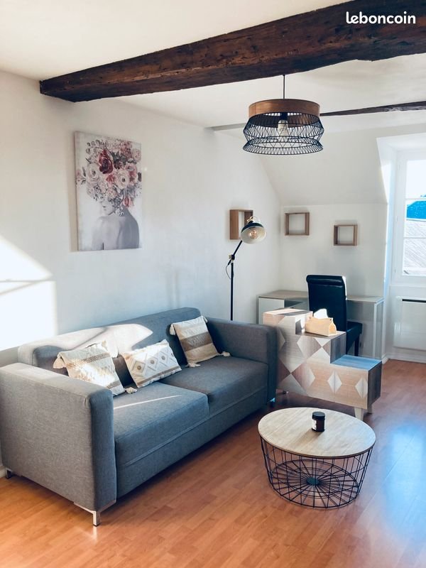 Appartement à louer, 38m², Orléans