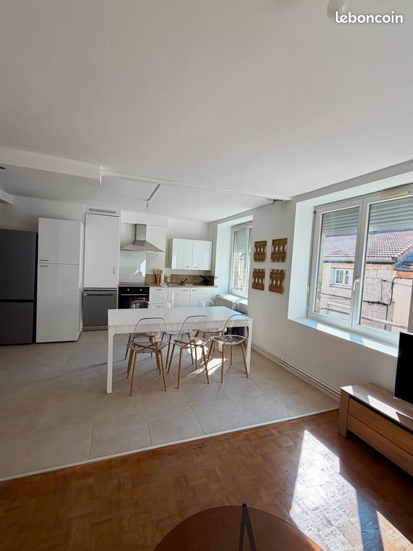 Appartement à louer, 100m², Saint-Etienne
