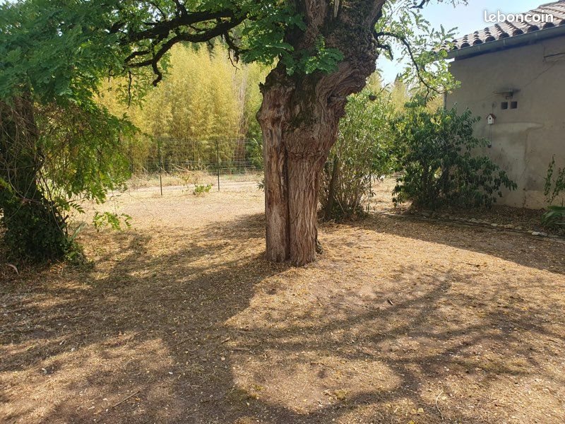 Maison à vendre, 100m², Gaillac