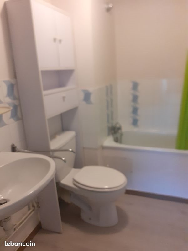 Appartement à louer, 18m², Albi