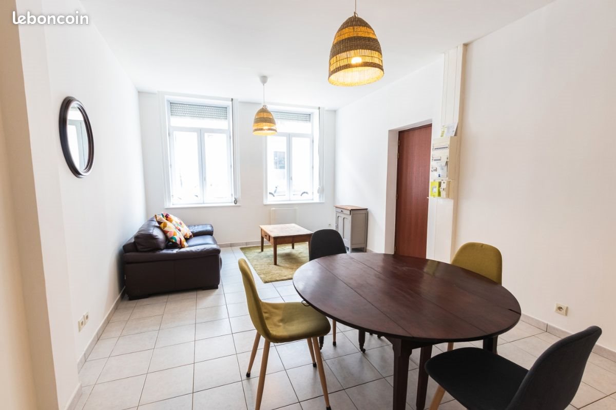 Appartement à louer, 48m², Lille