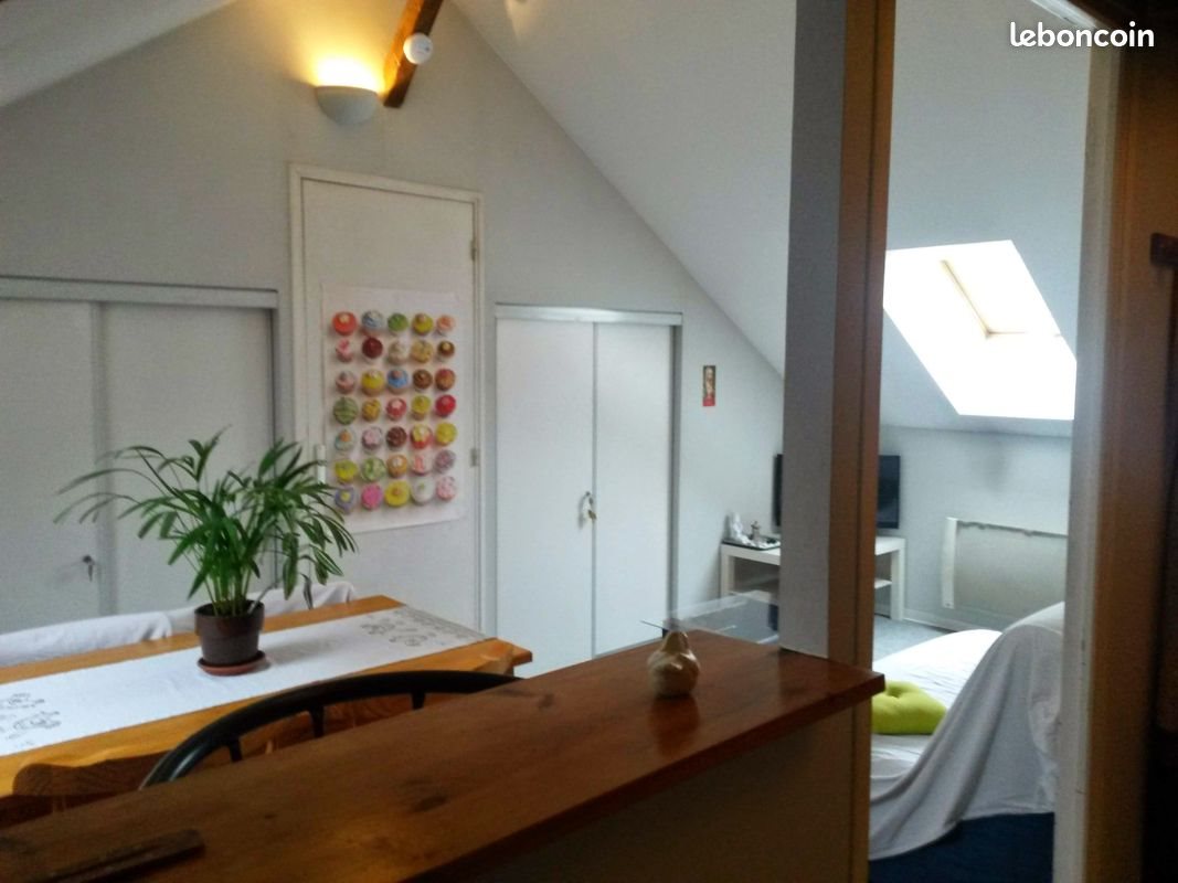 Appartement à louer, 27m², Rodez