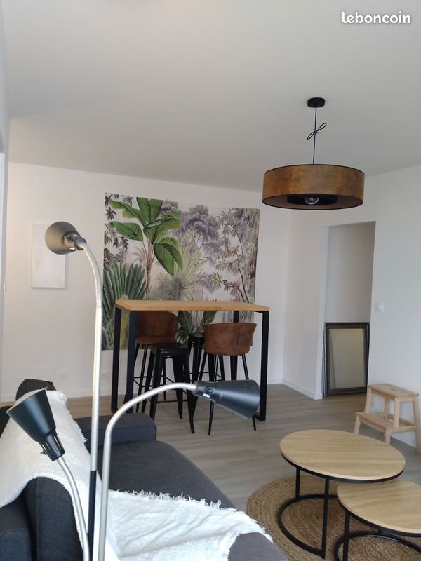 Appartement à louer, 44m², Tours