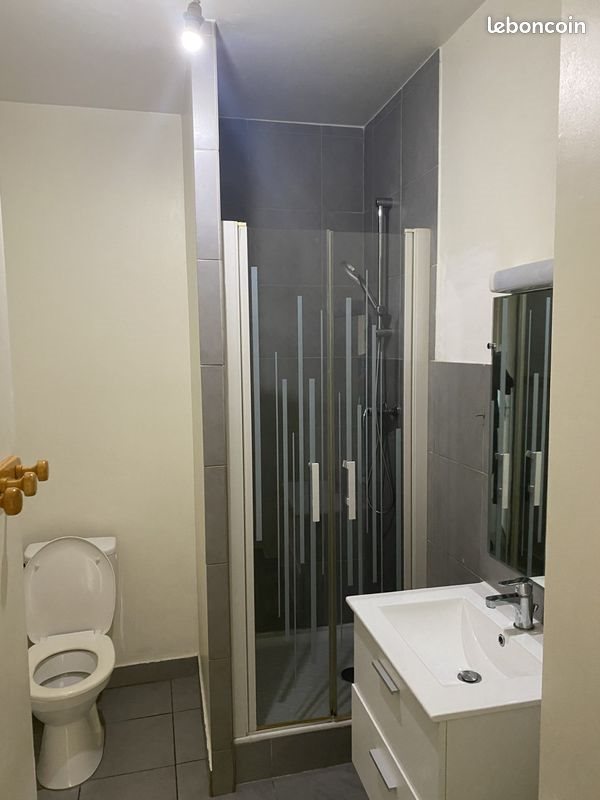 Appartement à louer, 46m², Villeurbanne