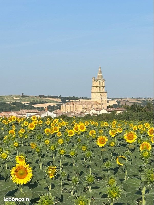 Maison à louer, 80m², Avignonet-Lauragais