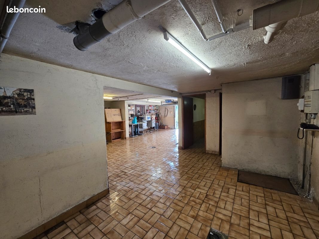 Maison à vendre, 306m², Marthod