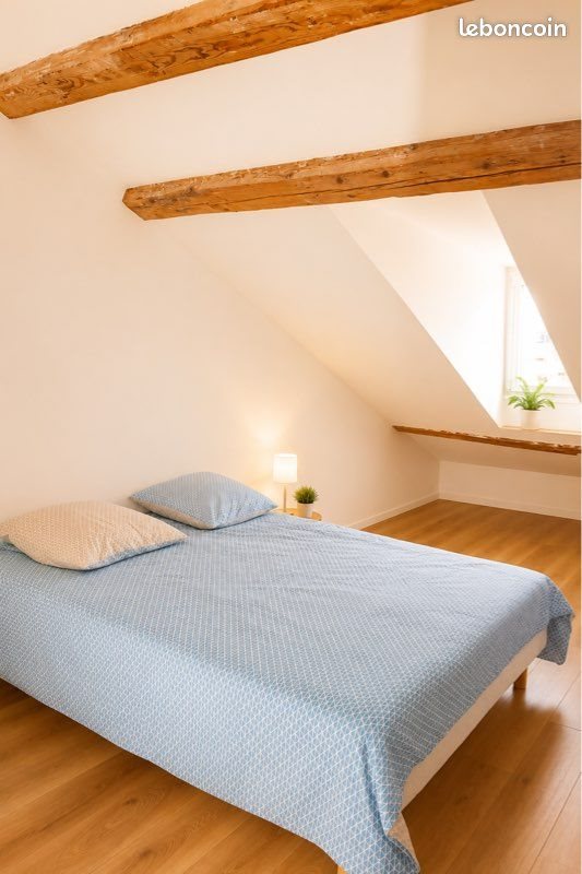 Appartement à louer, 50m², Cannes-la-Bocca