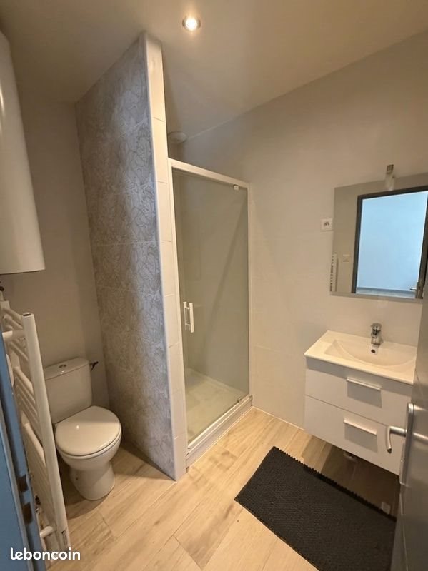 Appartement à louer, 36m², Roanne