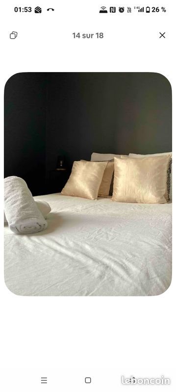 Appartement à louer, 45m², Vichy