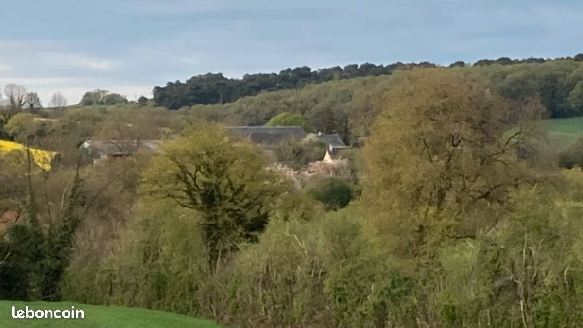 Maison à vendre, 378m², Champgenéteux
