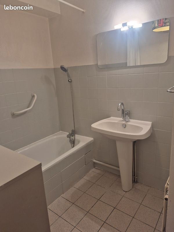 Appartement à louer, 46m², Saint-Etienne