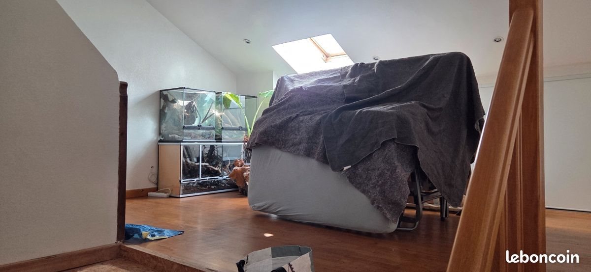 Maison à louer, 120m², Mende