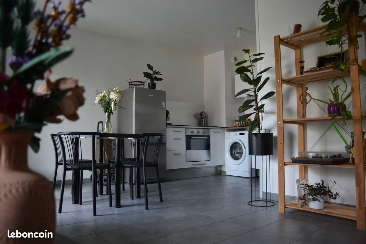 Appartement à louer, 60m², Lyon 8ème