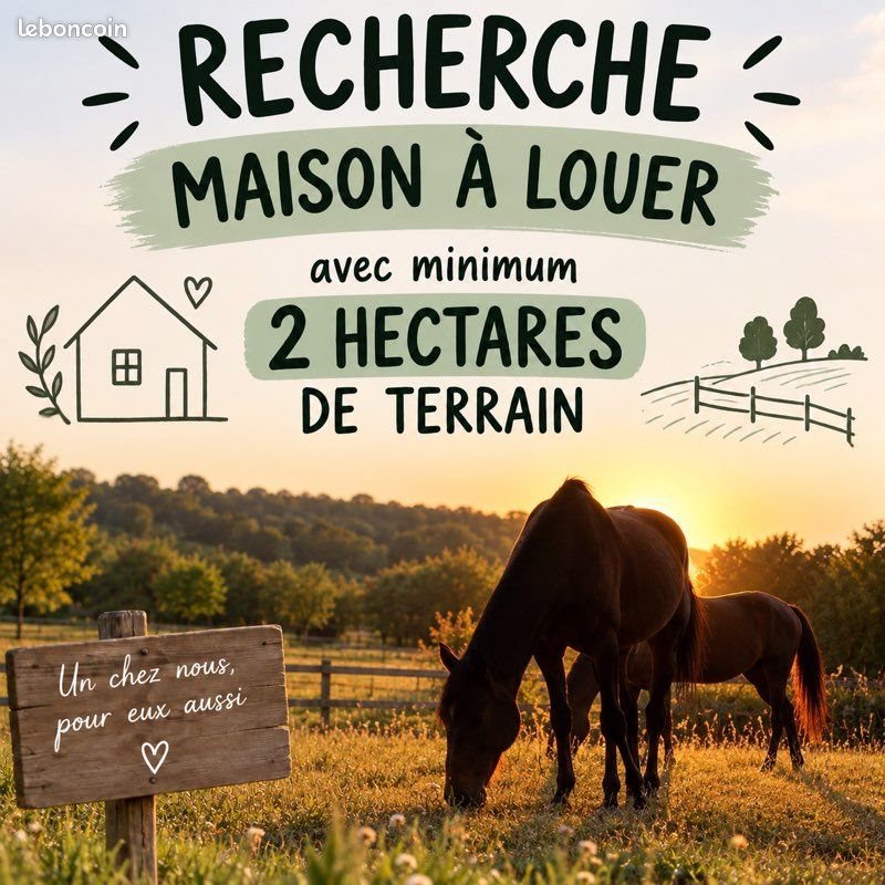 Maison à louer, 100m², Bergerac