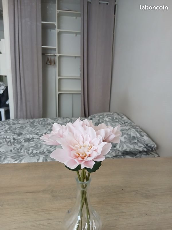 Appartement à louer, 19m², Le Cannet