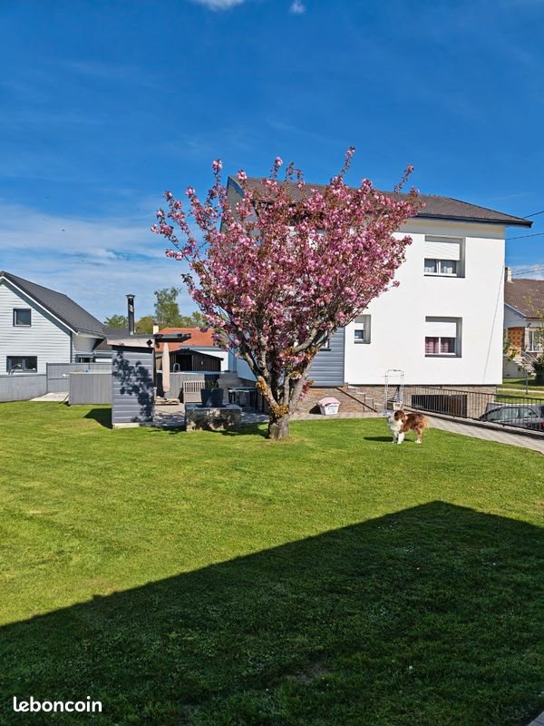 Maison à vendre, 195m², Abbévillers