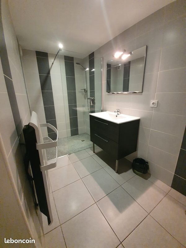 Appartement à louer, 45m², Saint-Cyprien