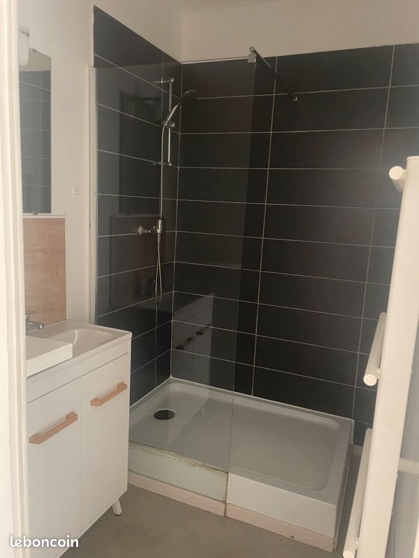 Appartement à louer, 49m², Roanne