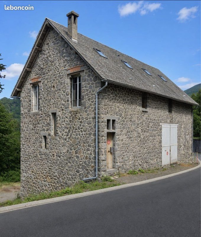 Maison à vendre, 400m², Mont-Dore