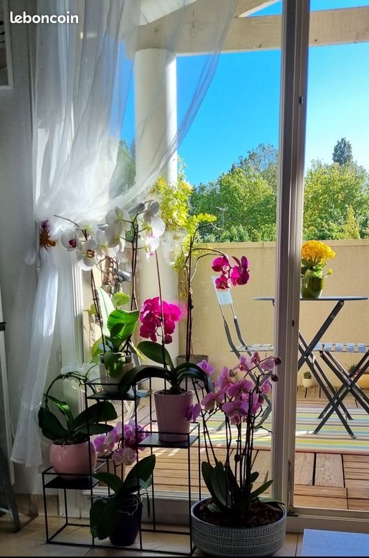 Appartement à vendre, 39m², Tonnay-Charente