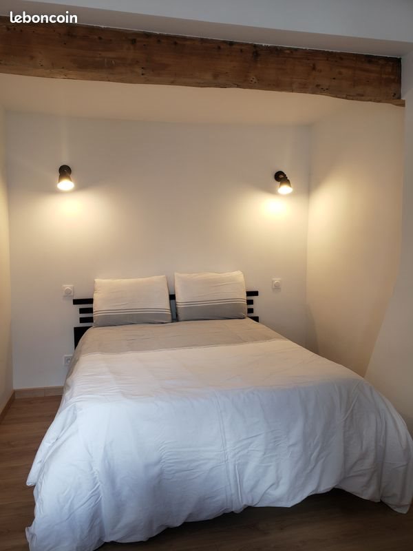 Appartement à louer, 29m², Saint-Etienne