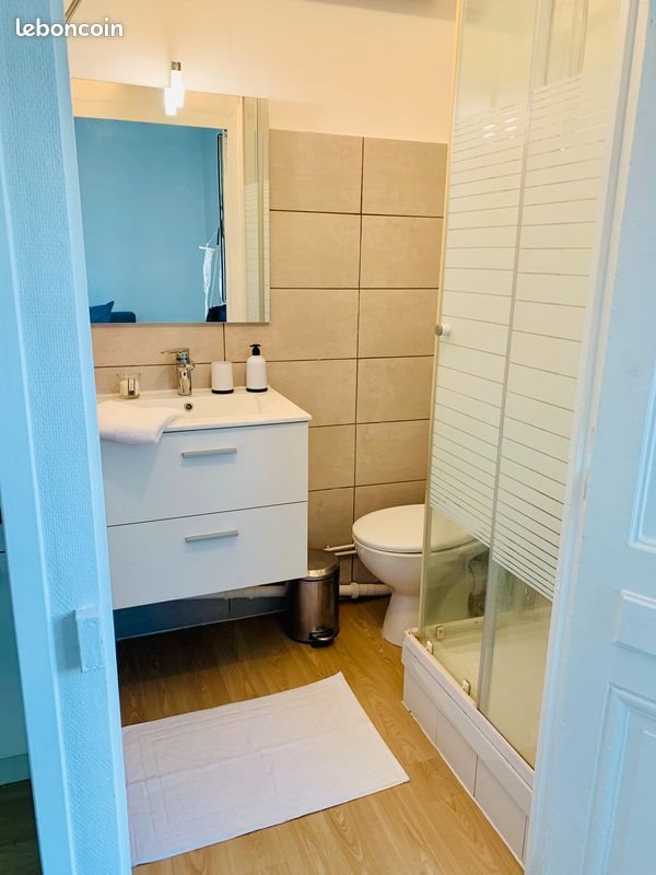 Appartement à louer, 30m², Lyon 8ème