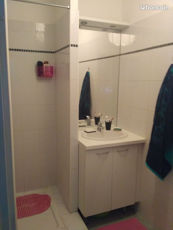 Appartement à louer, 18m², Castelnau-le-Lez