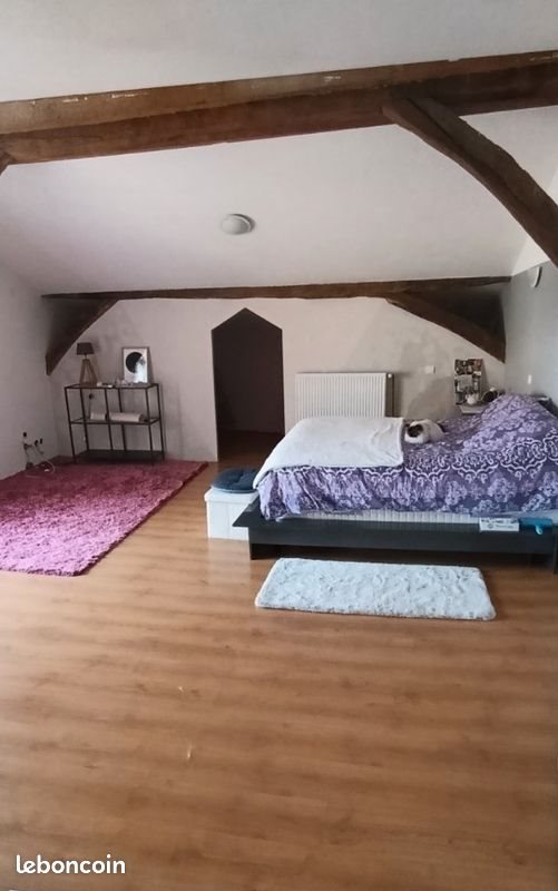 Maison à vendre, 310m², Chazelles-sur-Lyon