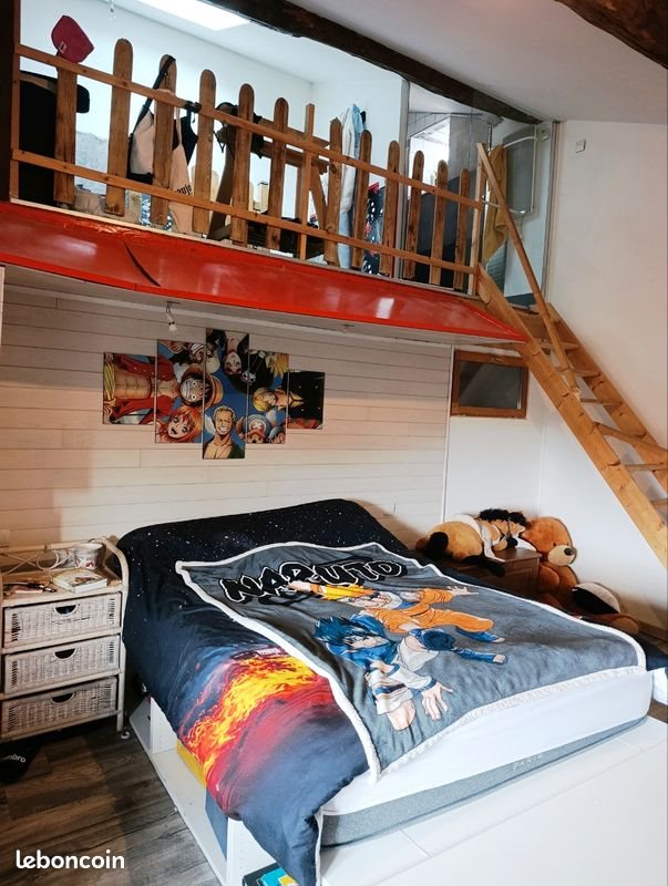 Maison à vendre, 310m², Chazelles-sur-Lyon