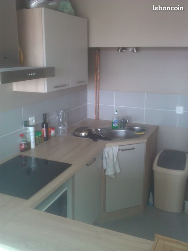 Appartement à louer, 45m², Lille