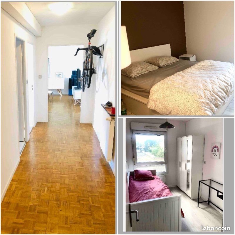 Appartement à louer, 60m², Colmar